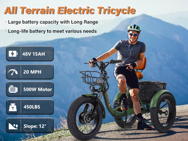 48V500W Electric Folding Tricycle for Adults