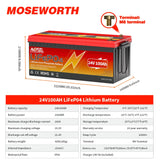 LiFePo4 Battery 12V (100Ah 200Ah 300Ah) 24V (100Ah) BMS Lithium Battery