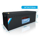 LiFePO4 Lithium Iron Phosphate Battery with BMS