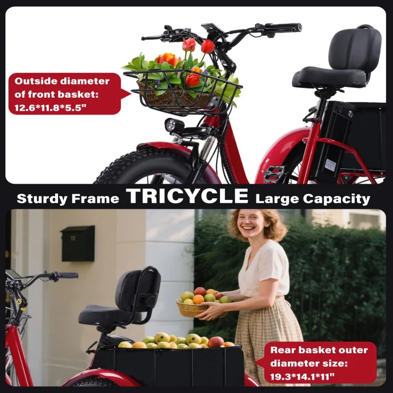 48V500W Electric Folding Tricycle for Adults