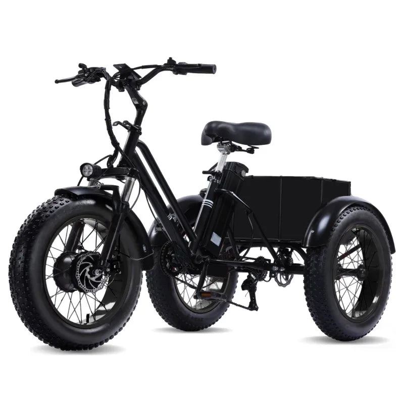 48V500W Electric Folding Tricycle for Adults