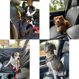 Dog Car Seat Covers