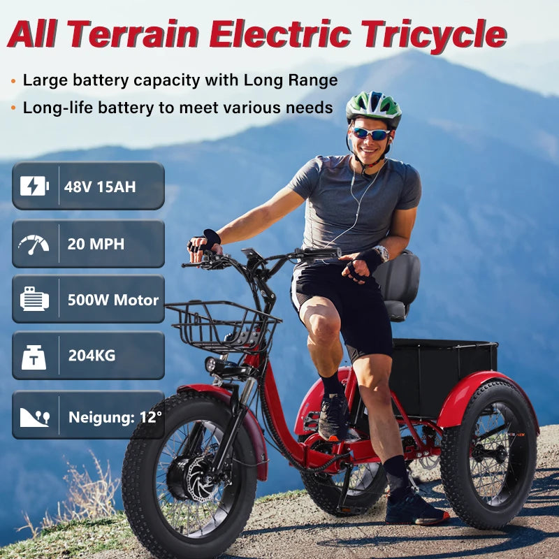 48V500W Electric Folding Tricycle for Adults