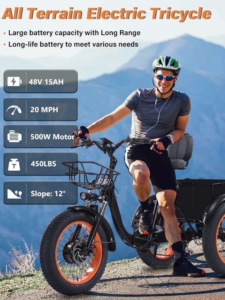 48V500W Electric Folding Tricycle for Adults