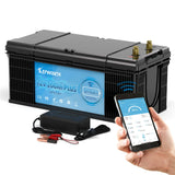 LiFePO4 Lithium Iron Phosphate Battery with BMS