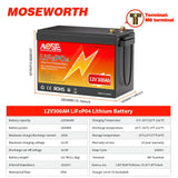 LiFePo4 Battery 12V (100Ah 200Ah 300Ah) 24V (100Ah) BMS Lithium Battery