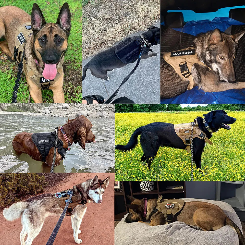 Tactical Dog Harness, Leash, Bags Set