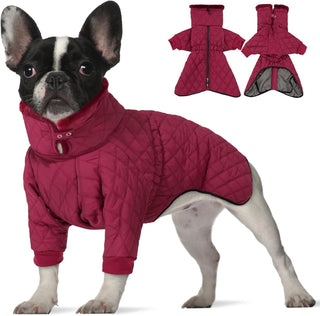 Waterproof Fleece-Lined Dog Snow Jacket, S–3XL