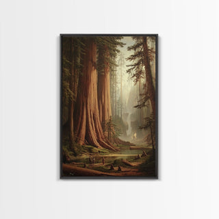 Majestic California Redwood Trees, Framed Canvas Print