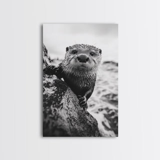 Curious Otter, Coastal Wildlife, Framed Canvas Print