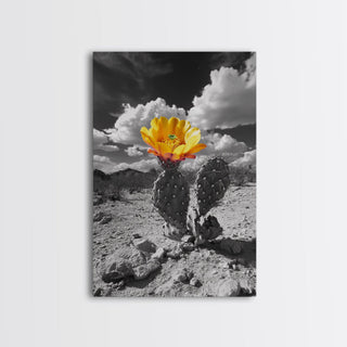 Southwest Desert Bloom, Framed Canvas Print