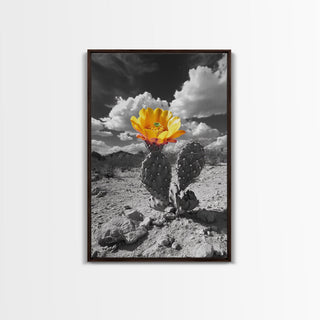 Southwest Desert Bloom, Framed Canvas Print