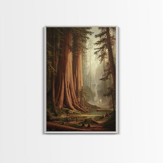 Majestic California Redwood Trees, Framed Canvas Print