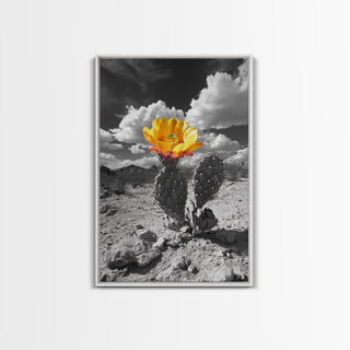 Southwest Desert Bloom, Framed Canvas Print
