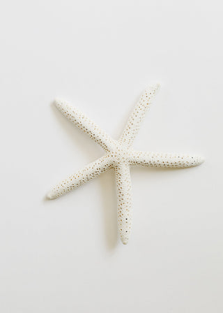 Starfish