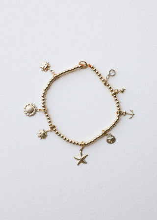 14k Gold Filled || Anklet or Bracelet