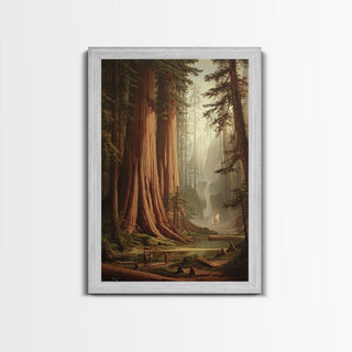 Majestic California Redwood Trees, Framed Canvas Print