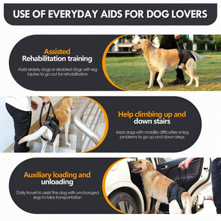 Adjustable Dog Sling for Lift Support