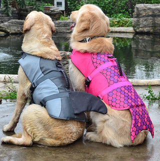 Mermaid Shark Dog Swimming Life