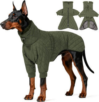 Waterproof Fleece-Lined Dog Snow Jacket, S–3XL
