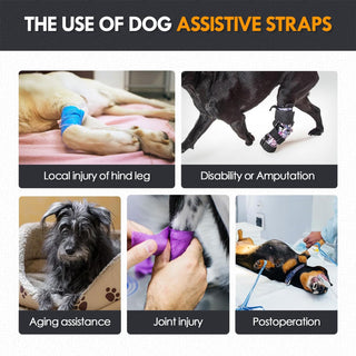 Adjustable Dog Sling for Lift Support