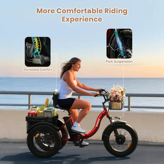 Electric Tricycle for Adults 960W, 50 Miles