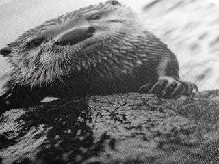Curious Otter, Coastal Wildlife, Framed Canvas Print