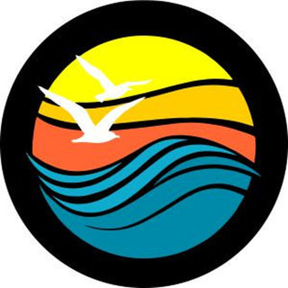 Beach Waves, Birds, and Sunset Spare Tire Cover