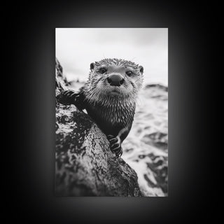 Curious Otter, Coastal Wildlife, Framed Canvas Print