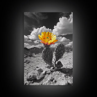 Southwest Desert Bloom, Framed Canvas Print