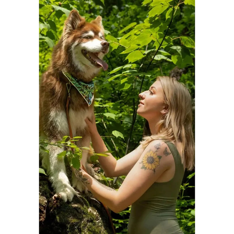 Premium Fern Forest Dog Bandana