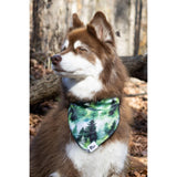 Evergreen Explorer Dog Bandana