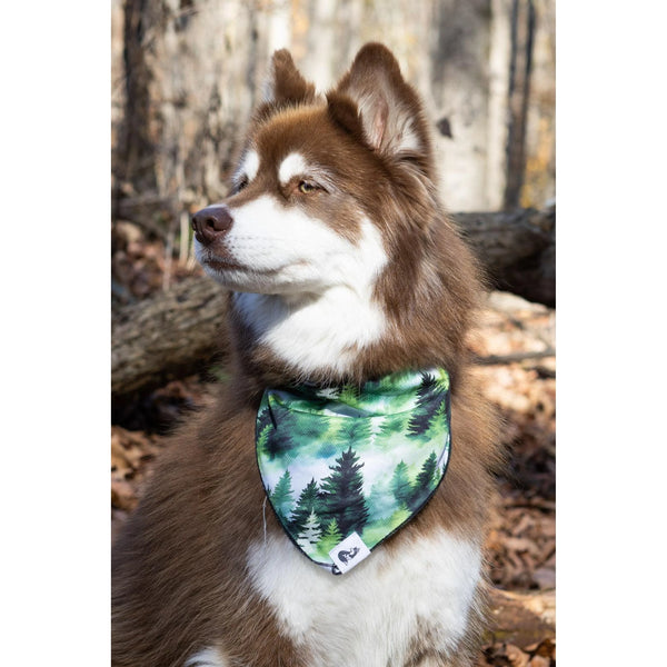 Evergreen Explorer Dog Bandana