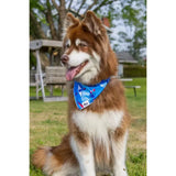 Premium K9 Kayak Dog Bandana