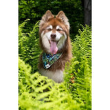 Premium Fern Forest Dog Bandana