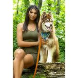 Premium Fern Forest Dog Bandana