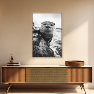 Curious Otter, Coastal Wildlife, Framed Canvas Print