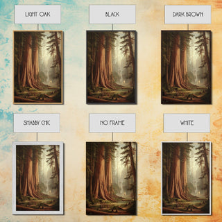 Majestic California Redwood Trees, Framed Canvas Print