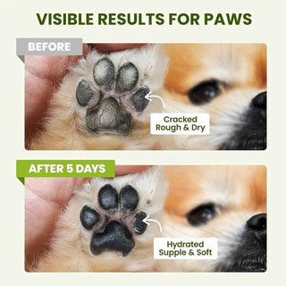 Lick-Safe Dog Paw & Nose Balm with Coconut Oil