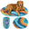 Sunset Surf Teal Medium
