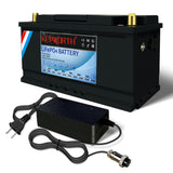 LiFePO4 Lithium Iron Phosphate Battery with BMS