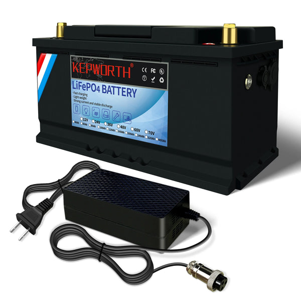 LiFePO4 Lithium Iron Phosphate Battery with BMS