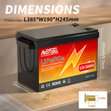 LiFePo4 Battery 12V (100Ah 200Ah 300Ah) 24V (100Ah) BMS Lithium Battery