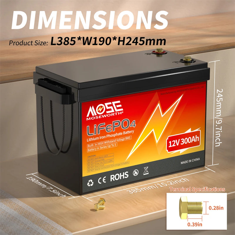 LiFePo4 Battery 12V (100Ah 200Ah 300Ah) 24V (100Ah) BMS Lithium Battery