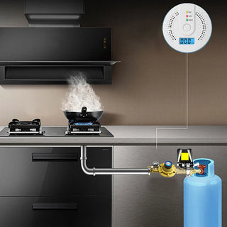 Portable CO Detector with LED Indicator, Warning Alarm Senso - Battery Powered