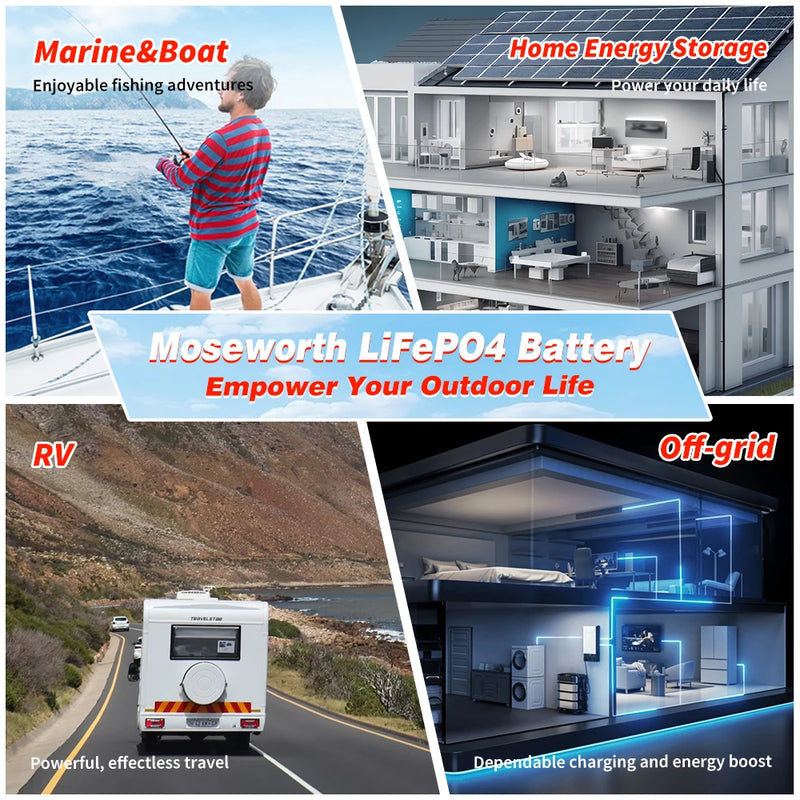 LiFePo4 Battery 12V (100Ah 200Ah 300Ah) 24V (100Ah) BMS Lithium Battery