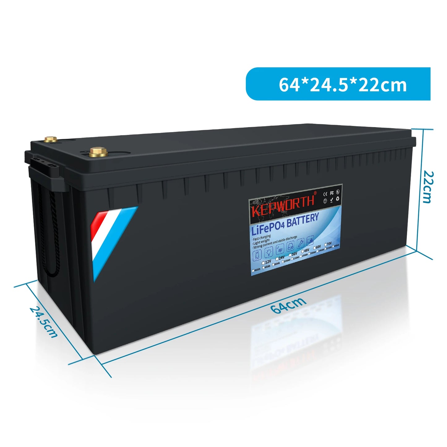 LiFePO4 Lithium Iron Phosphate Battery with BMS