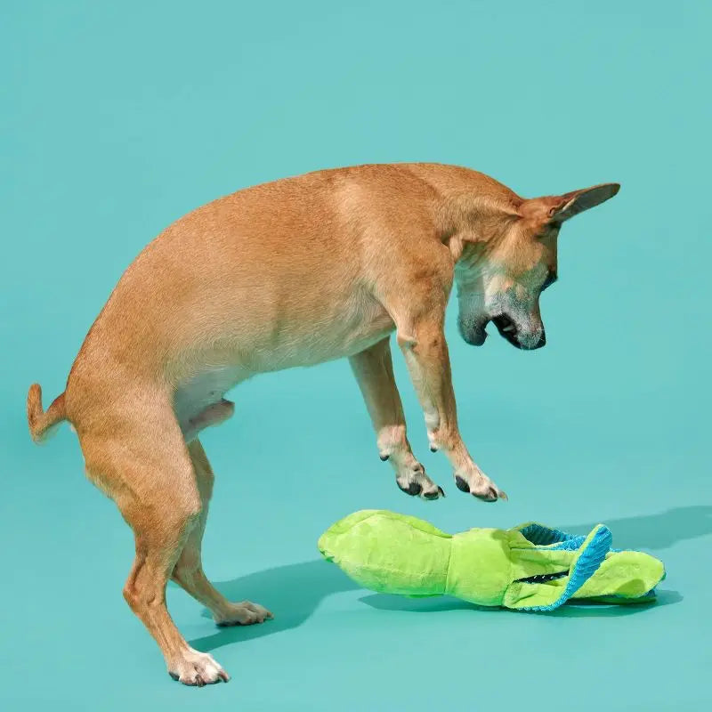 Squeaky Fluffy Squid Dog Toy