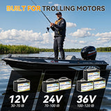 LiFePO4 Battery 12V 100Ah BMS Lithium Battery