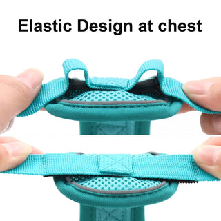 Pet Reflective Harness and Leash